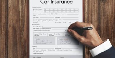 carta para cancelar seguro de auto