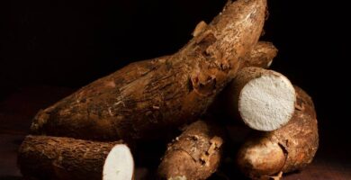 cassava roots facturacion